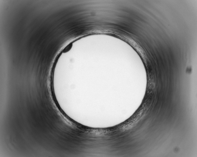 X0000103420803200810101017