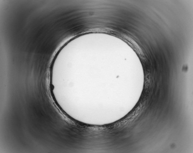 X0000103420804200810101017