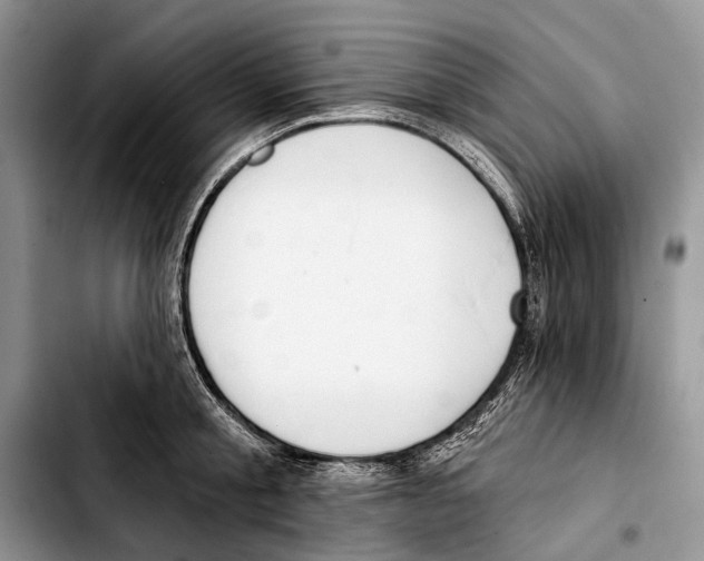 X0000103420805200810101017