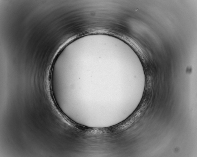 X0000103420806200810101017