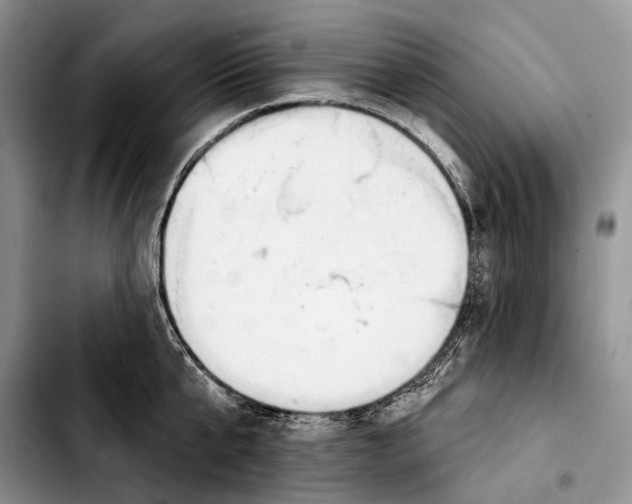 X0000103420807200810101017