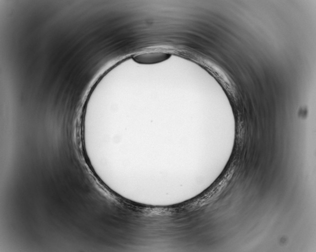 X0000103420808200810101017