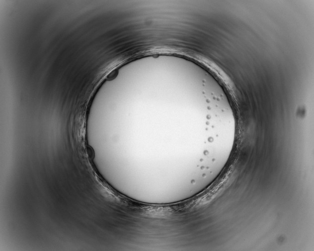 X0000103420809200810101017