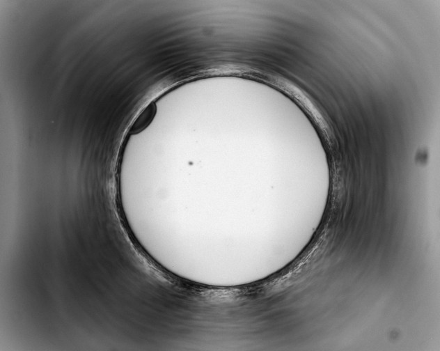 X0000103420810200810101017