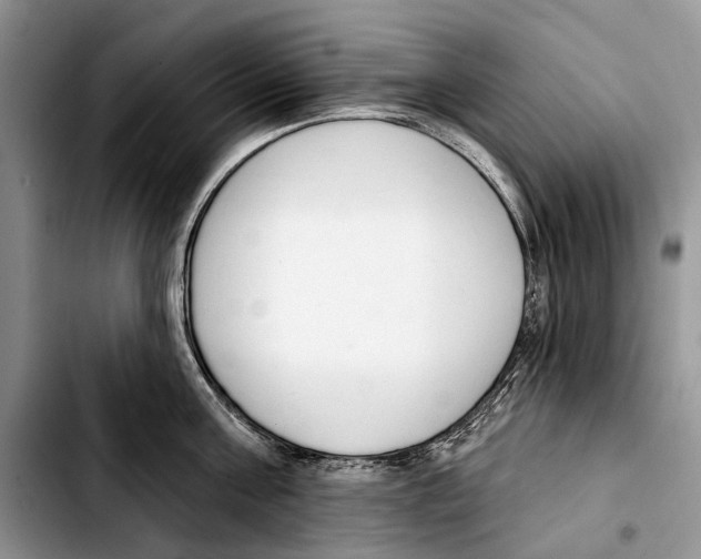 X0000103420811200810101017
