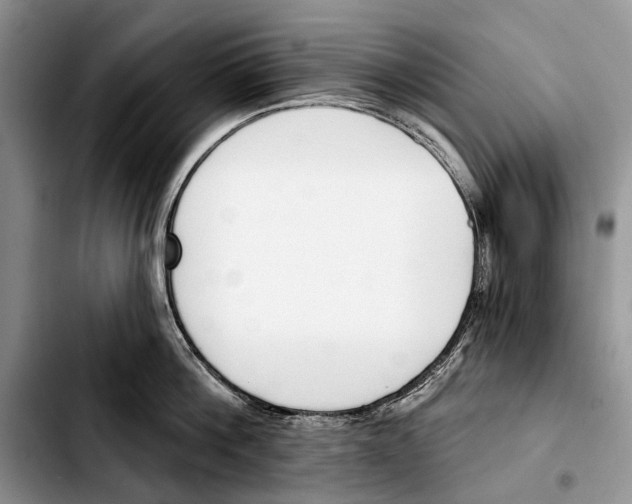 X0000103420812200810101017
