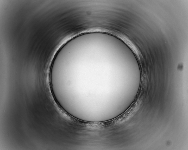 X0000103420813200810101017