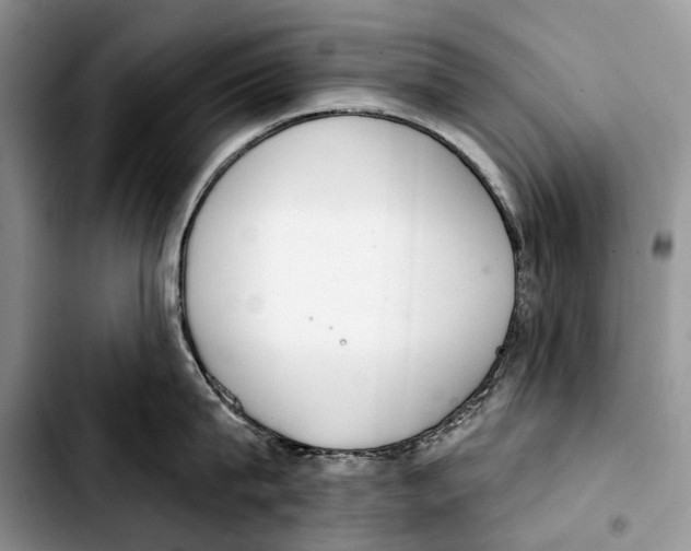 X0000103420815200810101017