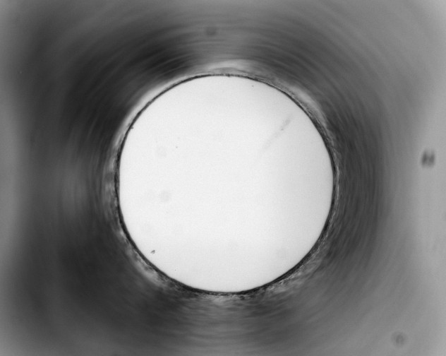 X0000103420816200810101017