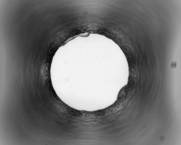 X0000103420818200810101016