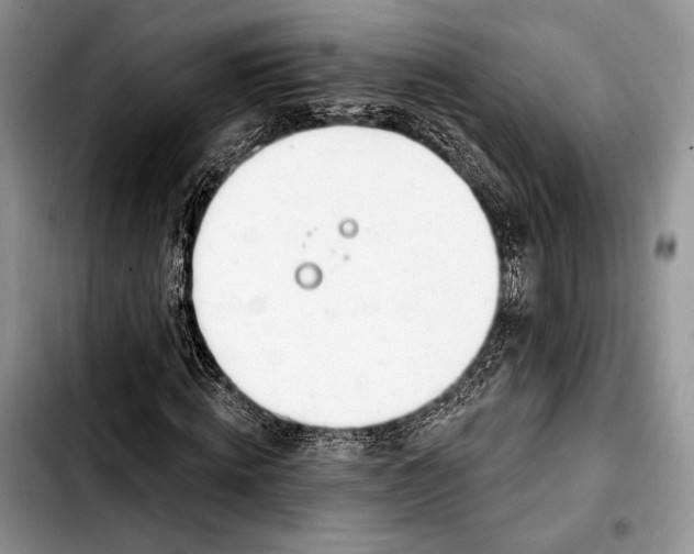 X0000103420820200810101016