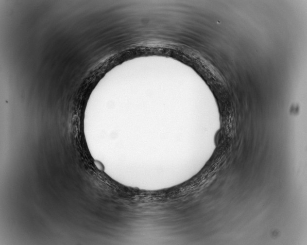 X0000103420821200810101017