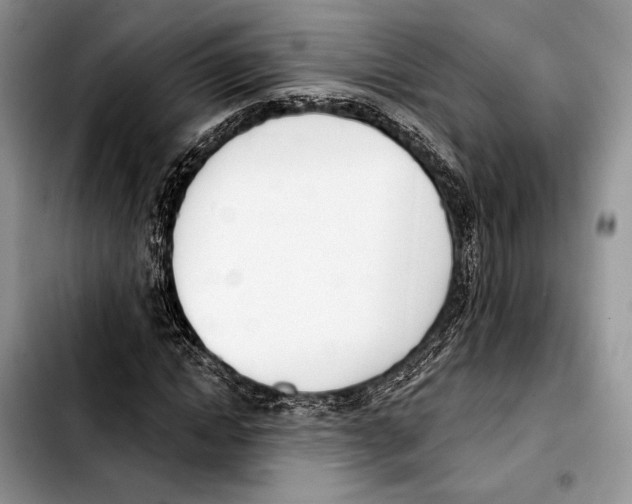 X0000103420822200810101017