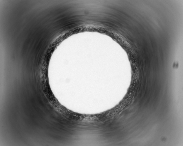 X0000103420824200810101017