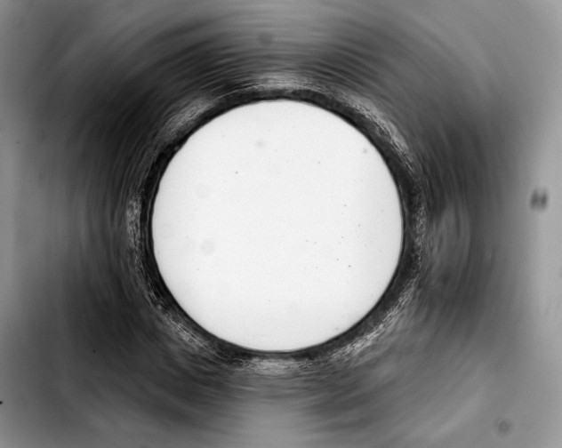 X0000103420825200810101017