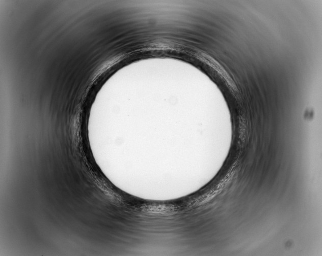 X0000103420826200810101017