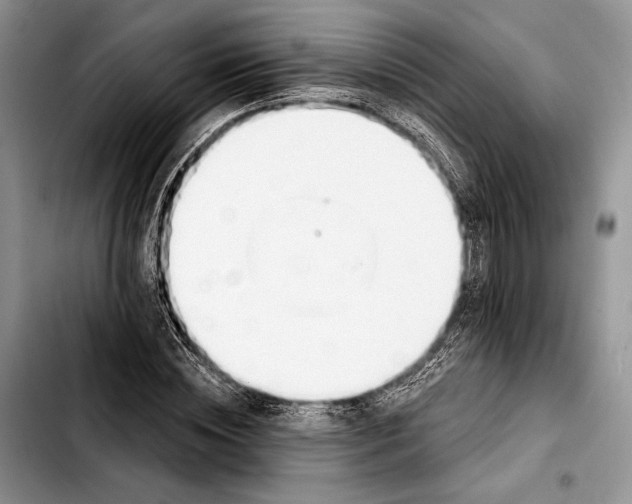 X0000103420828200810101017