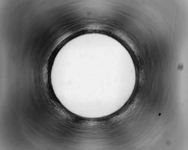 X0000103420829200810101017