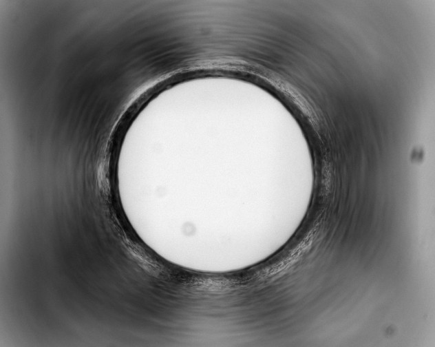 X0000103420830200810101017