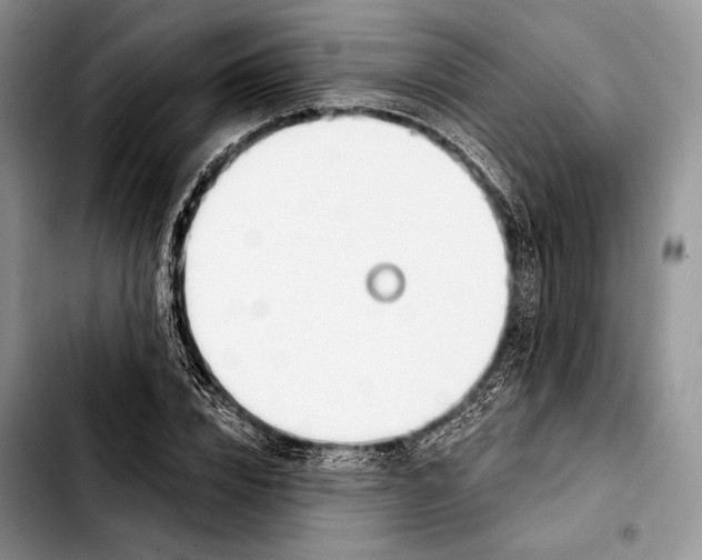 X0000103420832200810101017