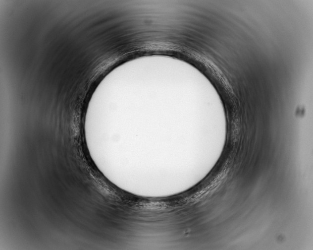 X0000103420833200810101017