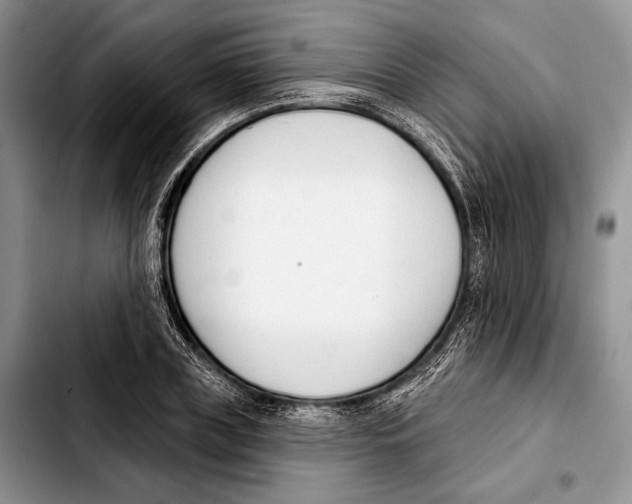 X0000103420835200810101017