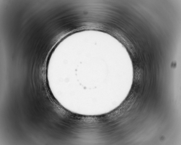X0000103420836200810101017
