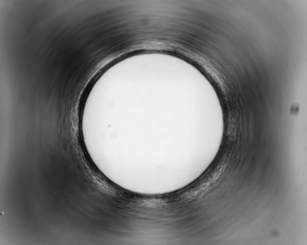 X0000103420837200810101017