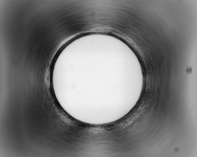 X0000103420838200810101017
