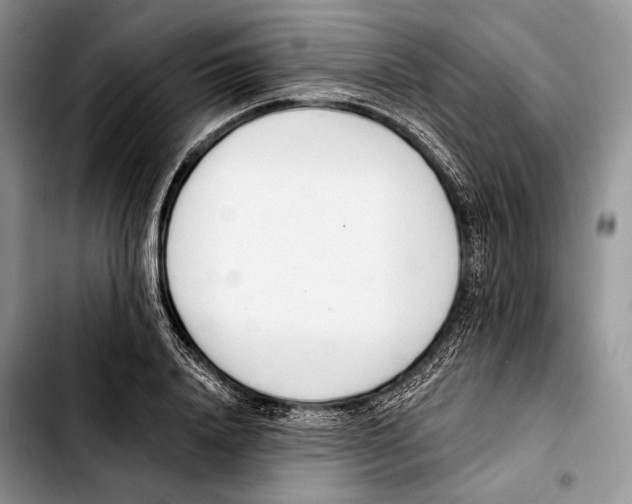 X0000103420840200810101017
