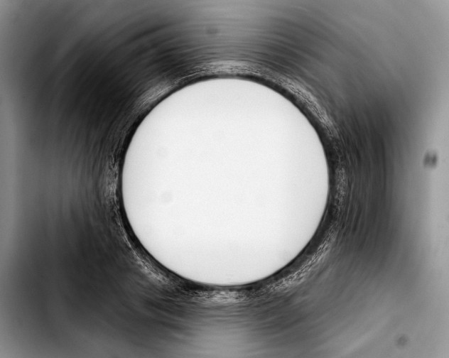X0000103420841200810101017