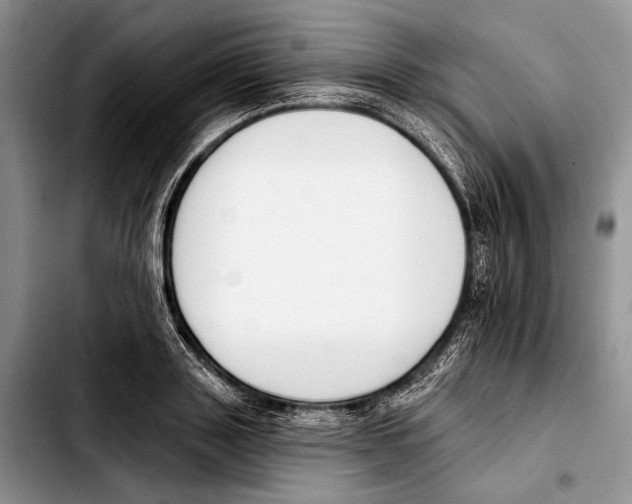 X0000103420843200810101017