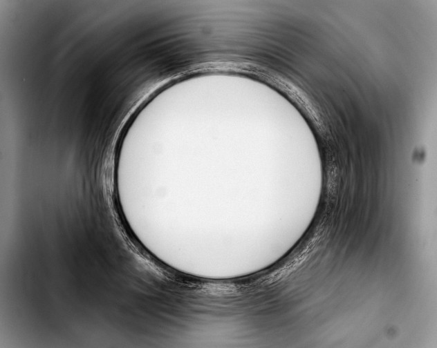 X0000103420844200810101017