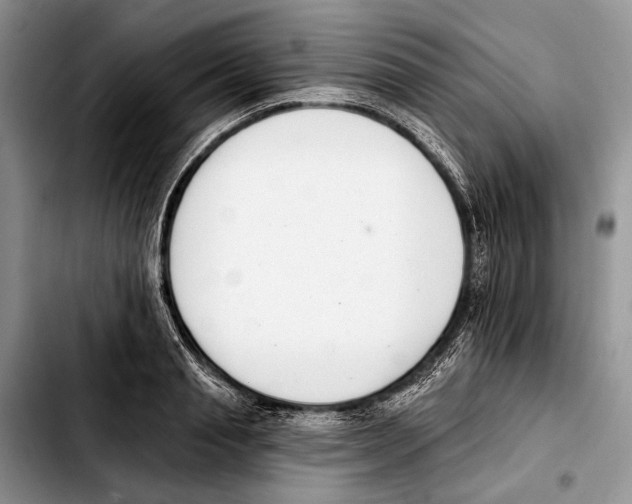 X0000103420845200810101017