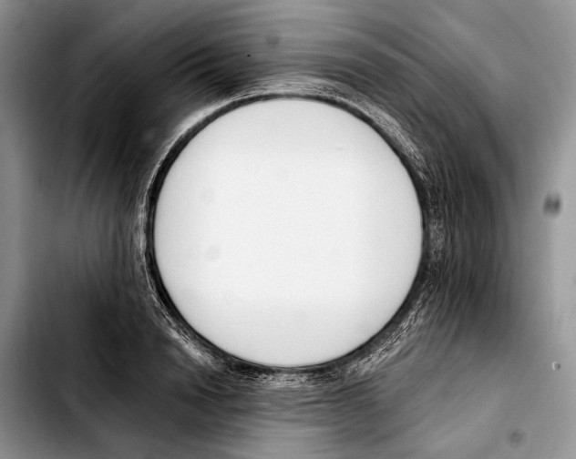 X0000103420846200810101017