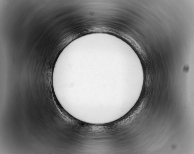 X0000103420849200810101017