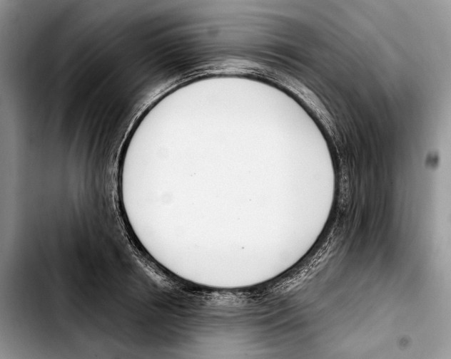 X0000103420850200810101017