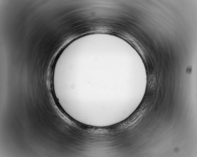 X0000103420851200810101017