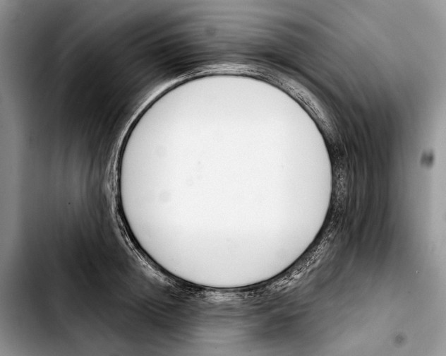 X0000103420852200810101017