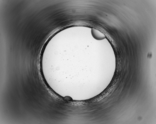 X0000103420853200810101017