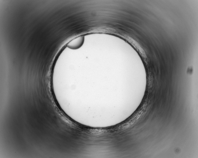 X0000103420854200810101017