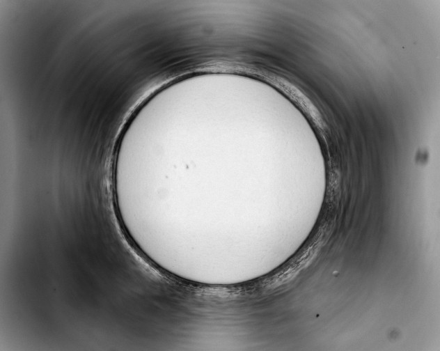 X0000103420855200810101017