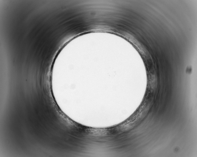 X0000103420856200810101017
