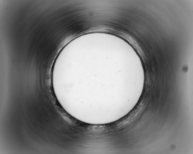 X0000103420858200810101017