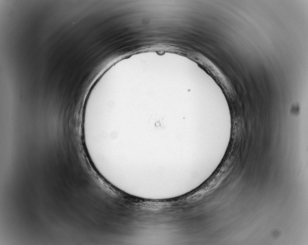 X0000103420860200810101017
