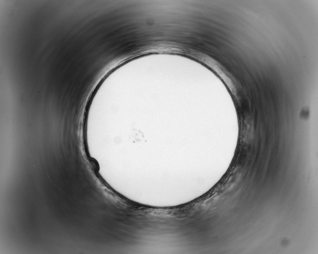 X0000103420861200810101017