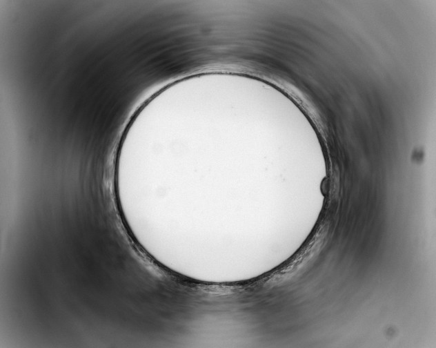 X0000103420862200810101017