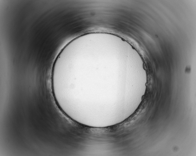 X0000103420863200810101017