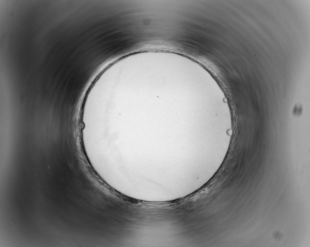 X0000103420864200810101017