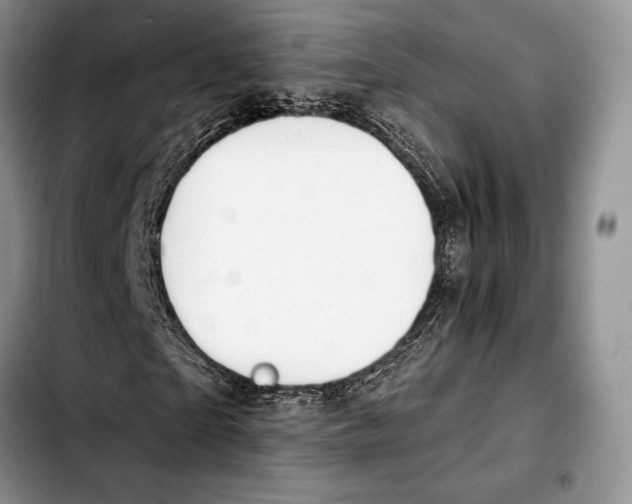 X0000103420865200810101016